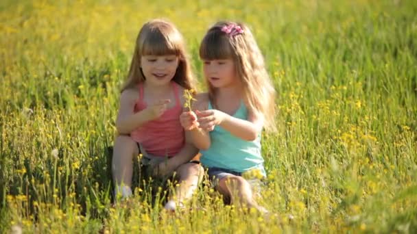 Two little girls sitting on grass — Stock Video