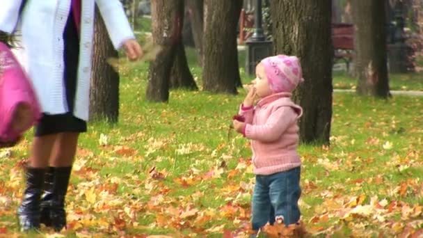 Мати і дитина в парку . — стокове відео