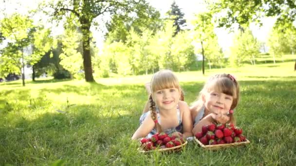 Laughing girls lying on the grass — Stock Video