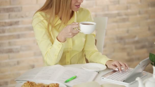 Young woman  using laptop — Stock Video