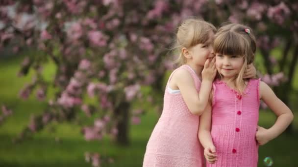 děvčata šuškají a s úsměvem Royalty Free Stock Záběr