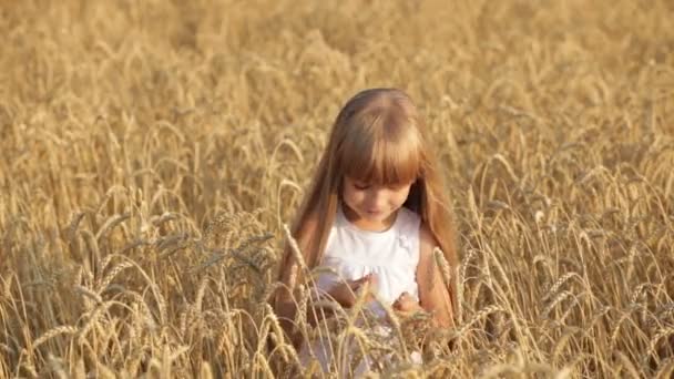 Funny little girl standing in wheat — Stock Video