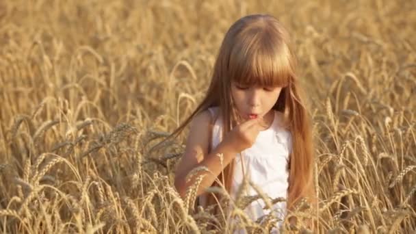 Meisje permanent in tarwe veld eten — Stockvideo