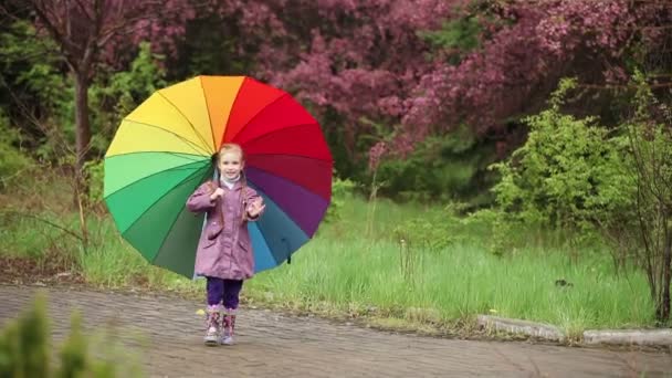 Flicka med ett paraply promenader — Stockvideo