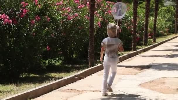 Lachende meisje met een vlinder net — Stockvideo