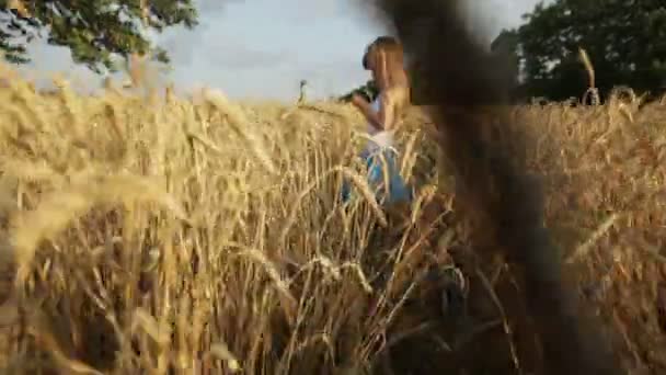 Девушка, стоящая посреди пшеничного поля — стоковое видео