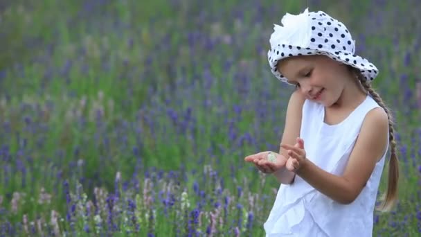Menina segurando uma borboleta . — Vídeo de Stock
