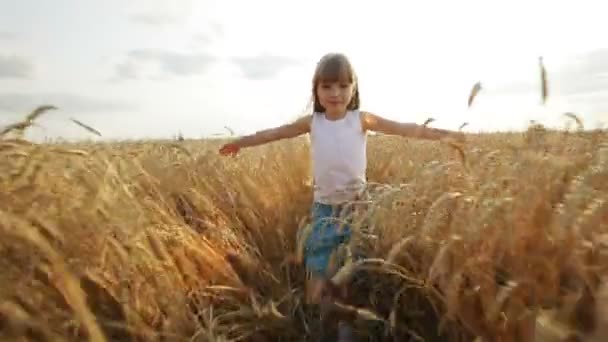 Girl walking on wheat field — Stock Video