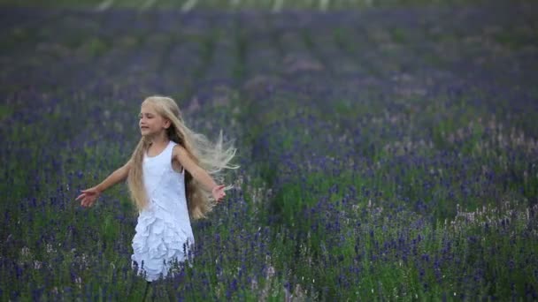 Child spinning in the field. — Stock Video