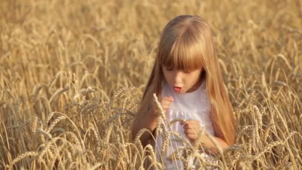 Girl standing in golden wheat — Stock Video