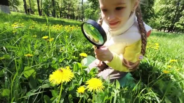 Meisje kijkend naar paardebloemen. — Stockvideo