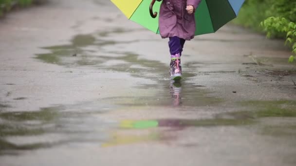 雨 水たまりストック動画 ロイヤリティフリー雨 水たまり動画 Depositphotos 雨 水たまりストック動画 ロイヤリティフリー雨 水たまり動画 Depositphotos