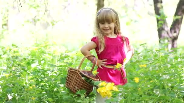 Chica con cesta en el bosque — Vídeo de stock