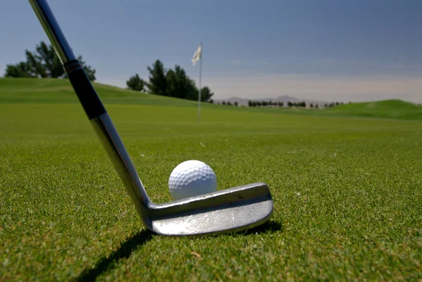 Alinhando-se ao longo putt em um verde de golfe — Fotografia de Stock