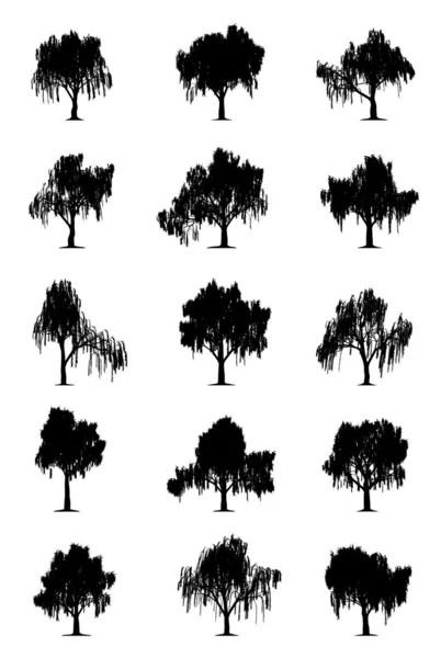 Weeping Willows — Stockvector