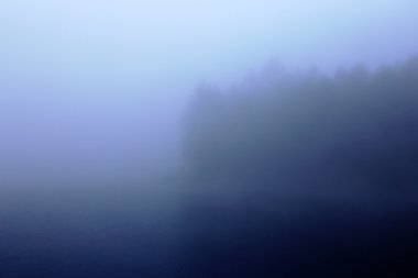 Sisli puslu ağaç sınırından