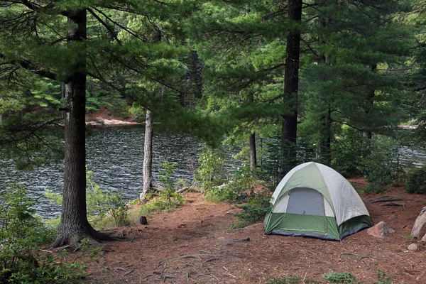 Zielony namiot obok jeziora Algonquin Obrazek Stockowy