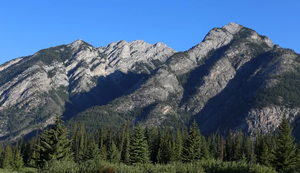 Campo Tiro Del Monte Norquay Desde Sitio Ciudad Banff Parque — Foto de Stock