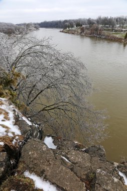 Grand River Cambridge, Ontario, Kanada, sonra ağaçlar buz kaplı bir buz fırtınası vurdu
