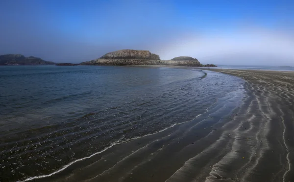 Litoral Enevoado Uma Praia Tofino Colúmbia Britânica Canadá Filmado Pela — Fotografia de Stock