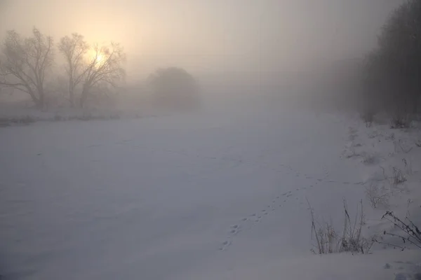 Grand River Helt Frusen Särskilt Kall Morgon Skott Kitchener Ontario — Stockfoto