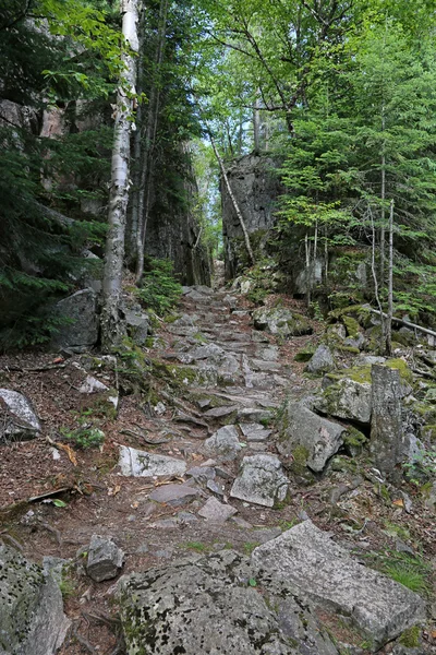 Sentier dans le parc provincial du lac Supérieur — Photo