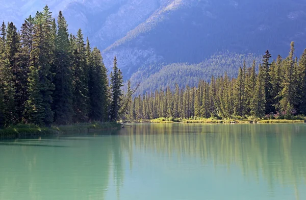 Bow River turkos — Stockfoto