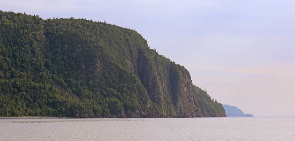 Gammal kvinna Bay — Stockfoto