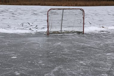 Gölet hokey Net