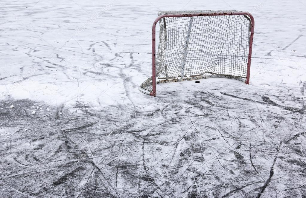 Pond Hockey Net and Snow