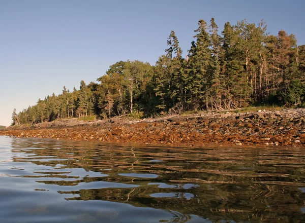 Bar Island - Maine — Stock fotografie