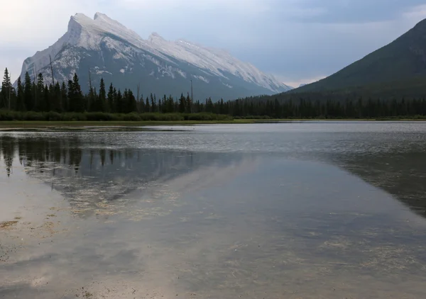 Rundle reflektion skott — Stockfoto