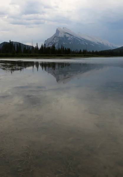 Mount Rundle op de achtergrond — Stockfoto