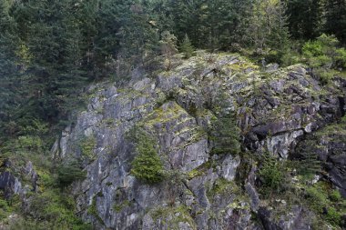 West Coast Cliff