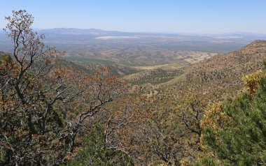 Madera Canyon tepesine