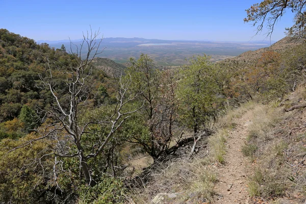 Vista desde el cañón de Madera — Foto de Stock