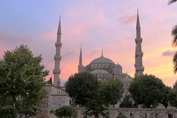 Magenta Sultanahmet Camii — Stok fotoğraf