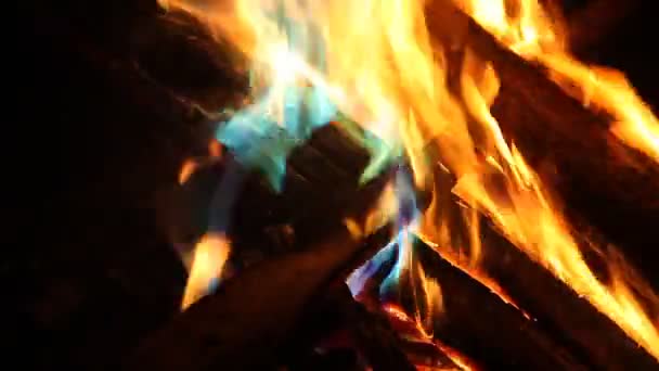 Fiamme di fuoco arancioni e blu — Video Stock