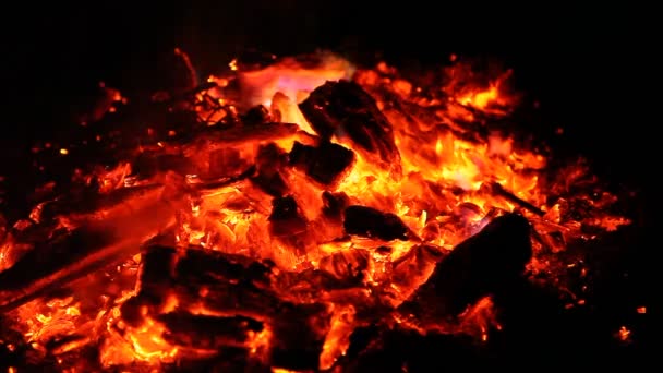 Эмбры и пепел большого огня — стоковое видео
