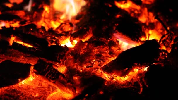 Эмбры и пепел большого огня — стоковое видео