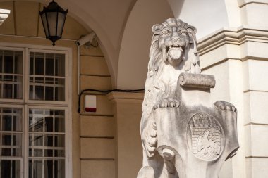 Lviv, Ukrayna - 22 Şubat 2015 aslan - şehir simgesi