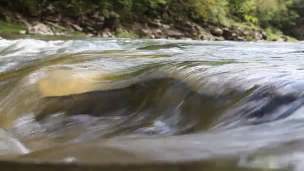 Montaña arroyo que fluye agua — Vídeos de Stock