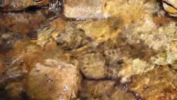 Montagna torrente acqua cristallina — Video Stock