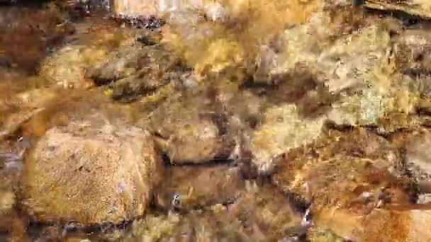 Montagna torrente acqua cristallina — Video Stock