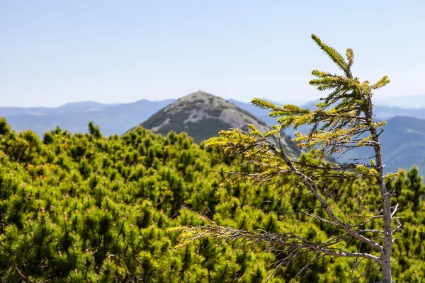 Красивый хребет гор, на открытом воздухе — стоковое фото