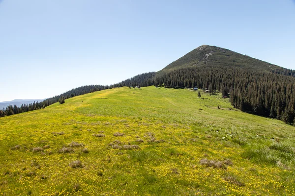 Jolie gamme de montagnes, en plein air — Photo