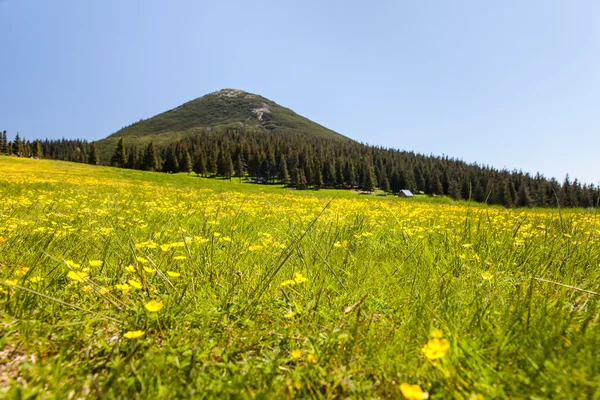 Bastante variedad de montañas, al aire libre —  Fotos de Stock