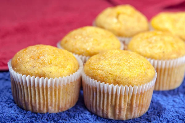 Six cupcakes on kitchen towels — Stock Photo, Image