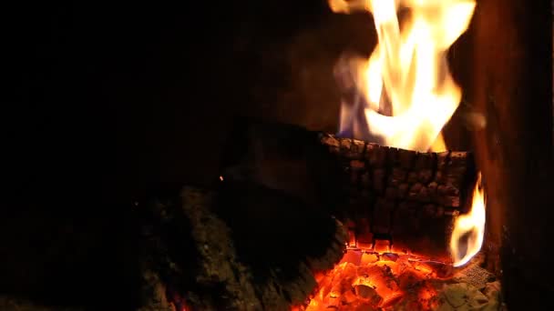 Tronchi di legno fuoco bruciano nel camino, atmosfera romantica — Video Stock