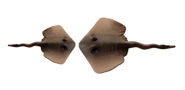 Juguete de goma Stingrays — Foto de Stock